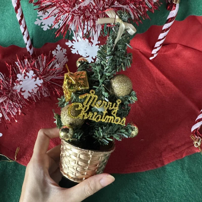 Mini Christmas Tree's !!!